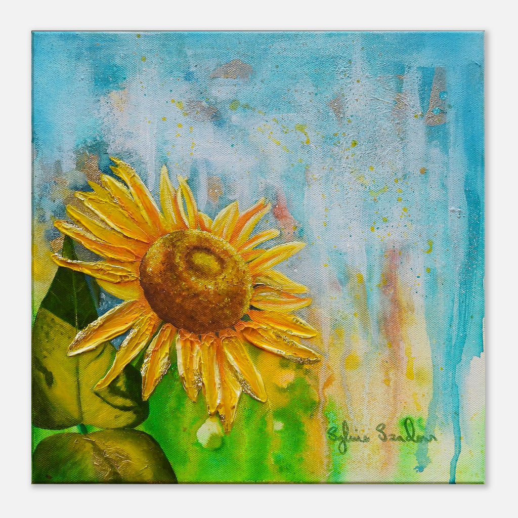 2bf74b53-1267-4a3a-921f-8547c71a3d22