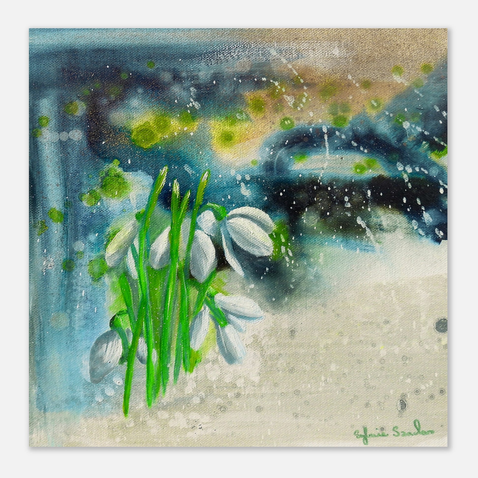 55b503db-0d4b-4ea2-963a-0ade8f96899a Snowdrops Aluminium Print Front View Four