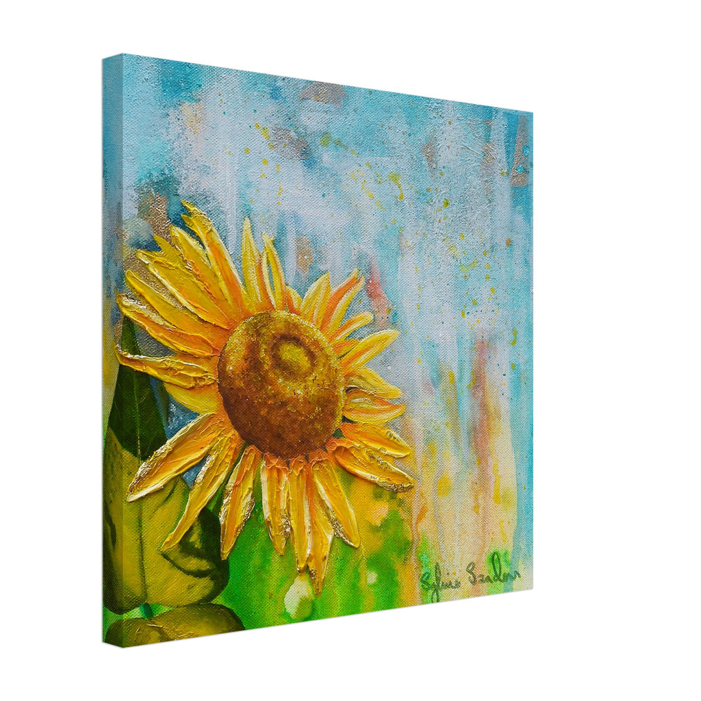 60294020-1159-4d3e-be10-c050bd0efebd