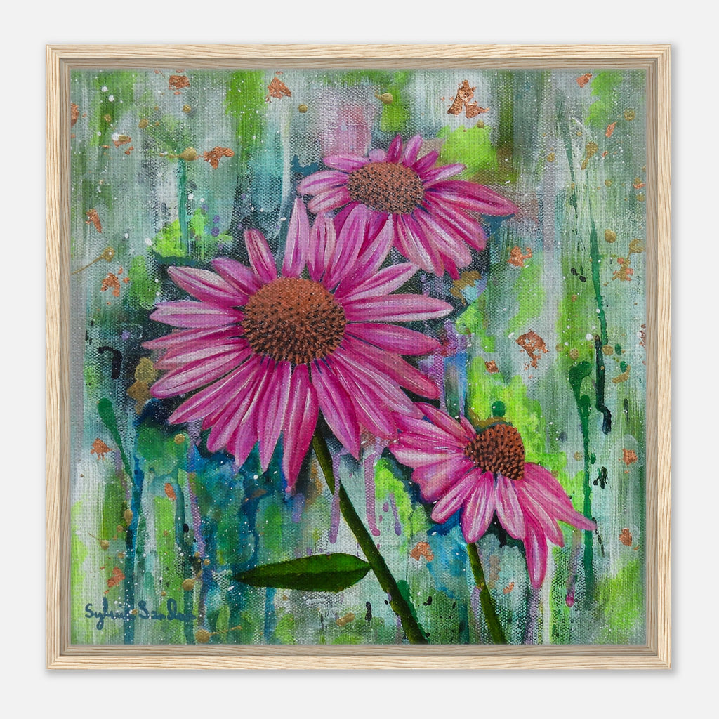 Wooden Framed Canvas Enchanting Echinacea 60 x 60cm